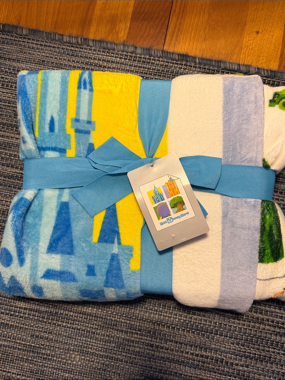 2025 Walt Disney World Four Parks Icons Castle Epcot Throw Blanket 50x60 NEW
